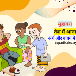 तैश में आना मुहावरे का अर्थ और वाक्य में प्रयोग
