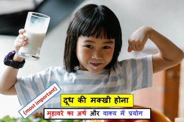 दूध की मक्खी होना  मुहावरे का अर्थ क्या होता है?