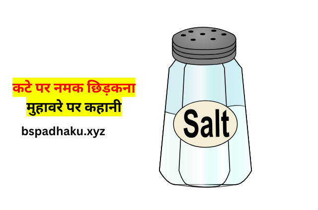 ‌‌‌कटे पर नमक छिड़कना मुहावरे पर कहानी