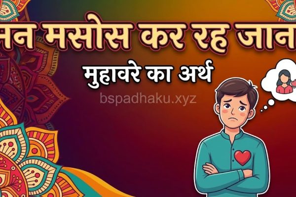 मन मसोस कर रह जाना का अर्थ, वाक्य मे प्रयोग