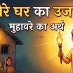 अँधेरे घर का उजाला मुहावरे का मतलब और वाक्य मे प्रयोग