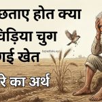 अब पछताए होत क्या जब चिड़िया चुग गई खेत मुहावरे का अर्थ और वाक्य में प्रयोग व कहानी