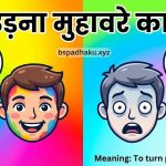 आओ समझे, रंग उड़ना मुहावरे का अर्थ और वाक्य मे प्रयोग