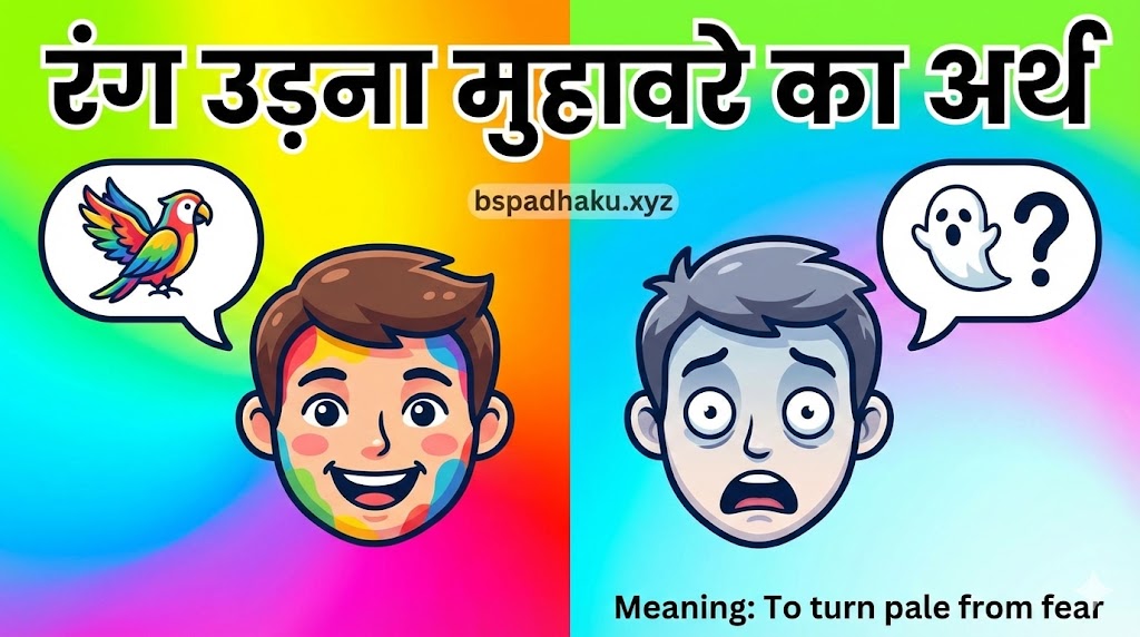 आओ समझे, रंग उड़ना मुहावरे का अर्थ और वाक्य मे प्रयोग