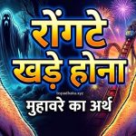 आओ समझें, रोंगटे खड़े होना का अर्थ और वाक्य मे प्रयोग
