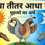 आधा तीतर आधा बटेर मुहावरे का अर्थ और वाक्य मे प्रयोग
