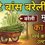 उल्टे बांस बरेली को मुहावरे का अर्थ और वाक्य व निबंध
