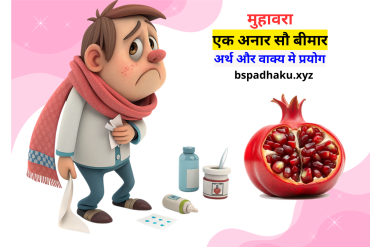 एक अनार सौ बीमार मुहावरे का अर्थ और वाक्य मे प्रयोग