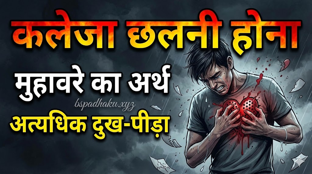 कलेजा छलनी होना मुहावरे का मतलब और वाक्य व कहानी