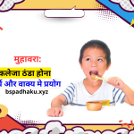कलेजा ठंडा होना मुहावरे का अर्थ और वाक्य मे प्रयोग