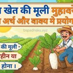किस खेत की मूली  मुहावरे का अर्थ क्या होता है
