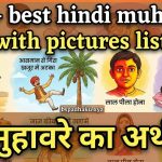 केवल यही याद कर लो, 1100+ best hindi muhavare with pictures list