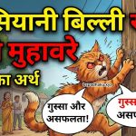 खिसियानी बिल्ली खंभा नोचे का मतलब और वाक्य मे प्रयोग व निबंध