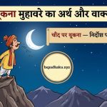 चाँद पर थूकना मुहावरे का अर्थ और वाक्य मे प्रयोग
