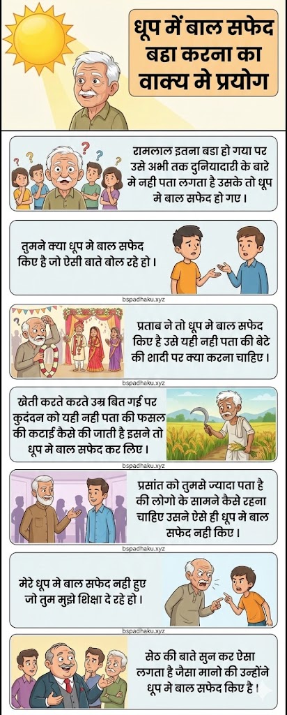 धूप में बाल सफेद करना का मतलब और वाक्य मे प्रयोग