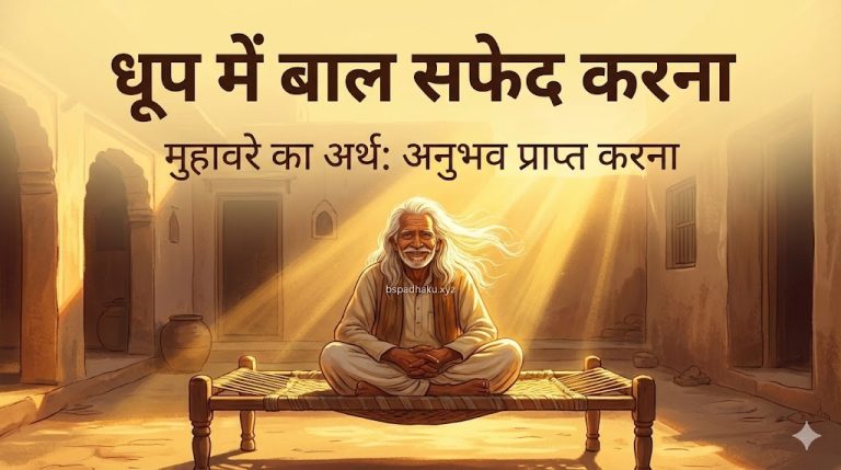 धूप में बाल सफेद करना का मतलब और वाक्य मे प्रयोग