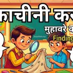 नुक्ताचीनी करना मुहावरे का अर्थ और वाक्य व निबंध