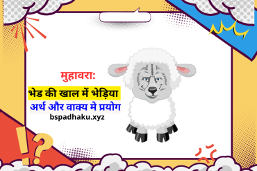 भेड़ की खाल में भेड़िया मुहावरा क्या है