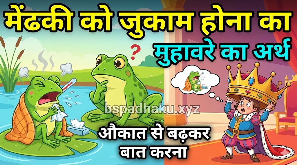 मेंढकी को जुकाम होना मुहावरे का मतलब और वाक्य मे प्रयोग