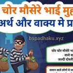 चोर चोर मौसेरे भाई मुहावरे का अर्थ क्या होता है