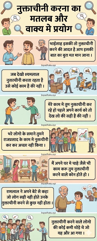 नुक्ताचीनी करना मुहावरे का अर्थ और वाक्य व निबंध