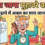सठिया जाना का अर्थ व वाक्य मे प्रयोग