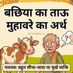बछिया का ताऊ का अर्थ और वाक्य मे प्रयोग